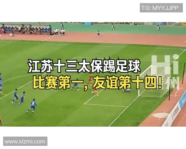 江苏足球队十大球星盘点 深度解析各大传奇球员的辉煌历程与贡献